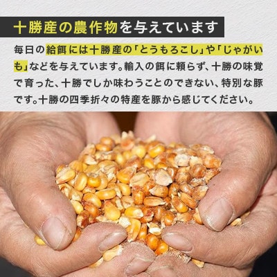 【毎月定期便】北海道十勝産 自然放牧黒豚 無添加加工品セット(ソーセージ ベーコン ハム)全2回