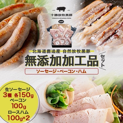 【毎月定期便】北海道十勝産 自然放牧黒豚 無添加加工品セット(ソーセージ ベーコン ハム)全6回