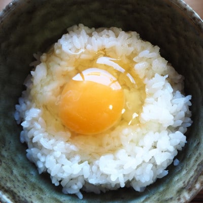 ぜーんぶ、北さん家のたまご　10個入り×8パック