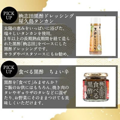 黒酢ごちそうセット(計4点)[G-120]【福山黒酢】　A2-022