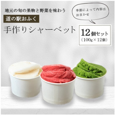 「道の駅おふく」手作りシャーベット　おまかせ12個セット