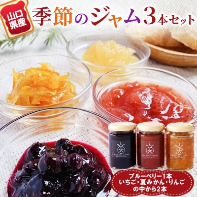山口県産季節のジャム3本セット
