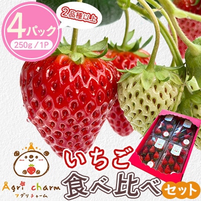 【先行予約/数量限定】Agri charmのいちご食べ比べセット (2品種以上×4パック)