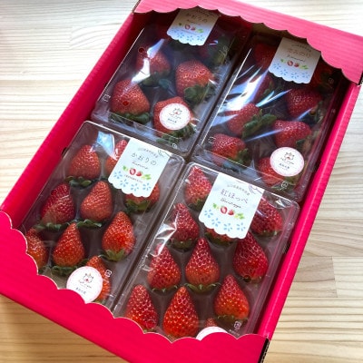 【先行予約/数量限定】Agri charmのいちご食べ比べセット (2品種以上×4パック)