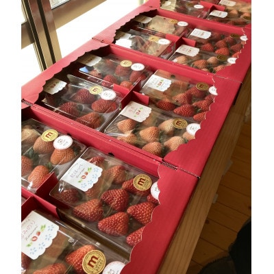 【先行予約/数量限定】Agri charmのいちご食べ比べセット (2品種以上×4パック)