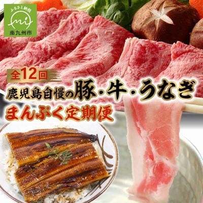 【全12回】鹿児島自慢の豚・牛・うなぎ まんぷく定期便