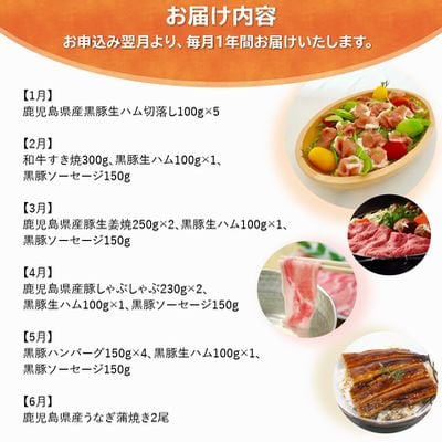 【全12回】鹿児島自慢の豚・牛・うなぎ まんぷく定期便