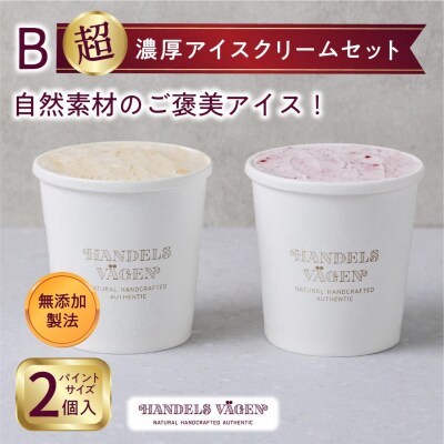 ハンデルスベーゲン無添加アイスクリーム/マカダミアキャラメルココナッツ・ベリーバイベリー