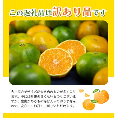 訳あり 極早生温州みかん 6.5kg+傷み保証分300g 2S～3Lサイズおまかせ【njb690B】