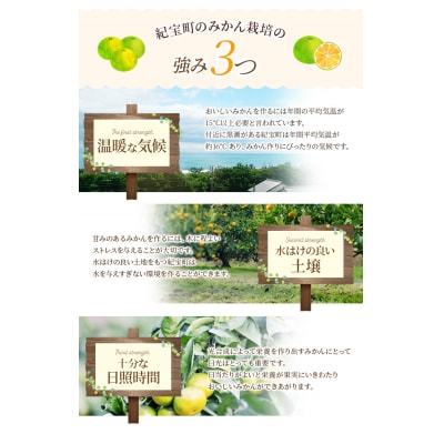 訳あり 極早生温州みかん 6.5kg+傷み保証分300g 2S～3Lサイズおまかせ【njb690B】