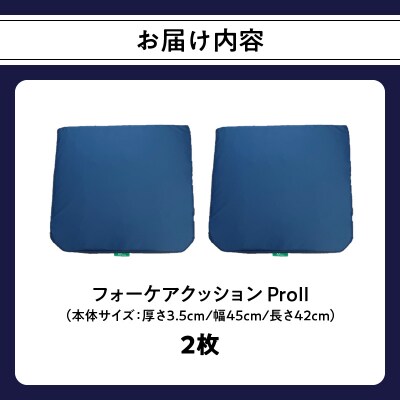 腰痛予防に!体圧分散 フォーケアクッションProII　お得な座面・背あて2枚セット_R11004