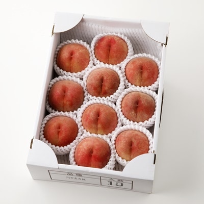 山形県上山市産　白桃(品種おまかせ)3kg　0136-2501