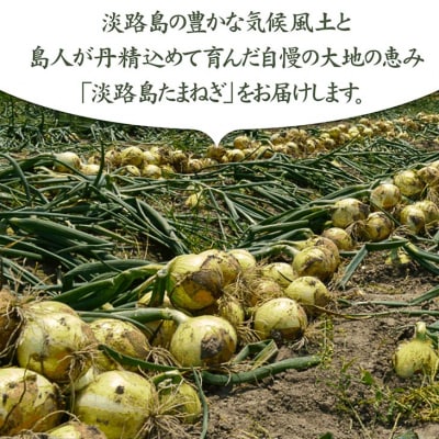 【馬詰青果】【淡路島の青果屋】淡路島産新たまねぎ　5kg 甘さに自信!!ほんまもん!!