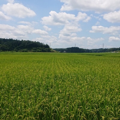 神崎町産　立峰農園のコシヒカリ白米・玄米セット