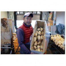【訳あり】無選別　神崎町ふるさと れんこん(4kg) | ふるさと納税のお礼品