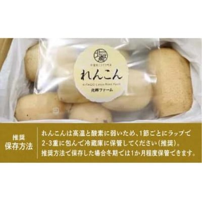 9月～翌3月発送　神崎町ふるさと れんこん　(3kg)