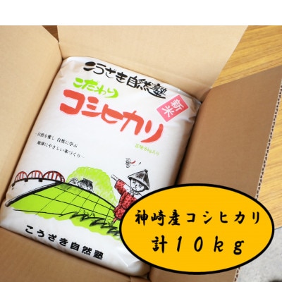 令和5年産こうざきコシヒカリ 白米 10kg(5kg×2袋)