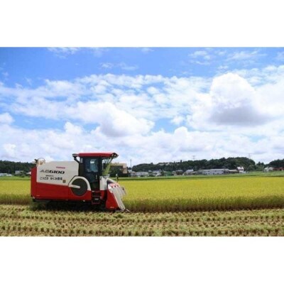 こうざきコシヒカリ玄米25kg