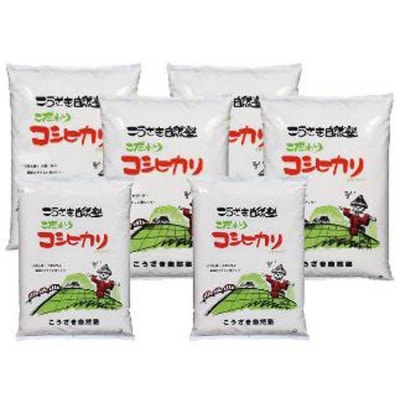 こうざきコシヒカリ　白米12kg 玄米12kg
