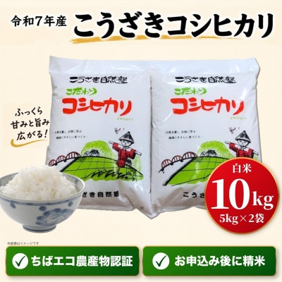 【数量限定】米 10kg コシヒカリ 令和7年産 白米 千葉県神崎町産 ちばエコ農産物注文後精米