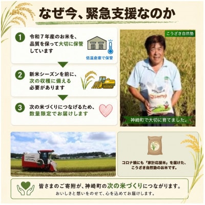 【緊急支援】数量限定 令和7年産こうざきコシヒカリ10kg ちばエコ認証 注文後精米