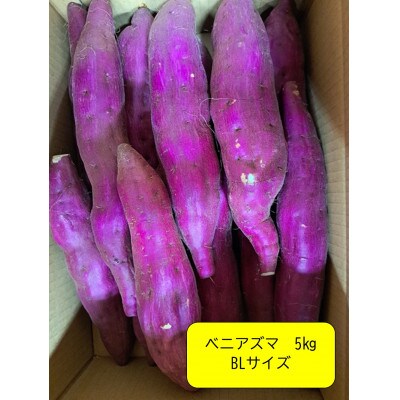 【先行予約・12月中旬以降出荷】神崎町産　ベニアズマ「さつまいも」BLサイズ　5kg
