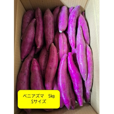 【先行予約・12月中旬以降出荷】神崎町産　ベニアズマ「さつまいも」Sサイズ　5kg