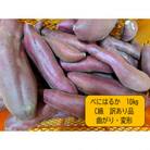 翌1月～5月発送　神崎町産べにはるか「さつまいも」C級訳あり　サイズ不揃い　10kg