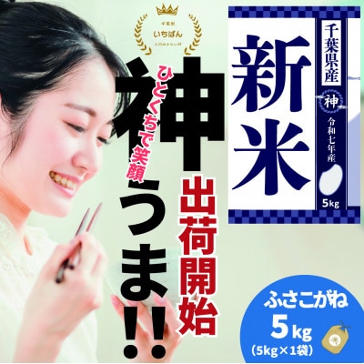 《出荷開始・令和7年産 新米》千葉県神崎町産 ふさこがね 5kg(5kg×1袋)|順次発送中