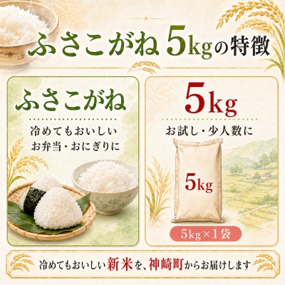 【新米先行予約・9月上旬発送】令和8年産 千葉県神崎町産 ふさこがね 白米 5kg(5kg×1袋)
