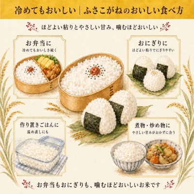 【新米先行予約】令和8年産 ふさこがね 5kg(5kg×1袋) 千葉県神崎町産 白米 9月上旬発送