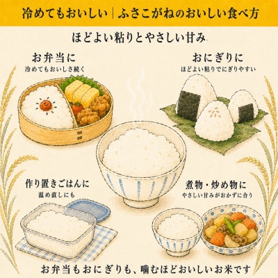 【新米先行予約】令和8年産 ふさこがね 5kg(5kg×1袋) 千葉県神崎町産 白米 9月上旬発送