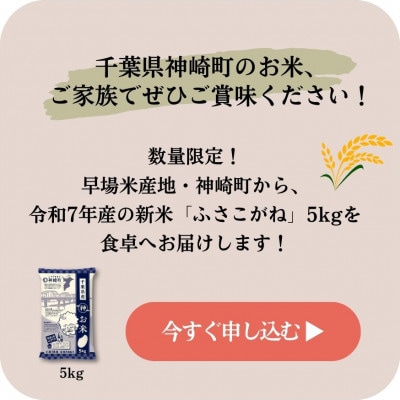 《出荷開始・令和7年産 新米》千葉県神崎町産 ふさこがね 5kg(5kg×1袋)|順次発送中