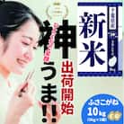《出荷開始・令和7年産 新米》千葉県神崎町産 ふさこがね 10kg(5kg×2袋)|順次発送中