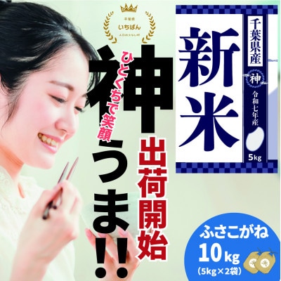 《出荷開始・令和7年産 新米》千葉県神崎町産 ふさこがね 10kg(5kg×2袋)|順次発送中