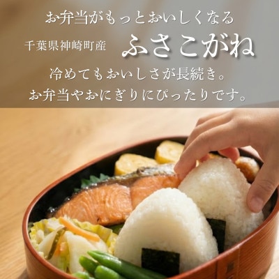 《 限定復活・令和7年産 》千葉県神崎町産 ふさこがね 10kg(5kg×2袋)