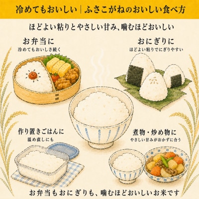 【新米先行予約】令和8年産 ふさこがね 10kg(5kg×2袋) 千葉県神崎町産 白米 9月上旬発送