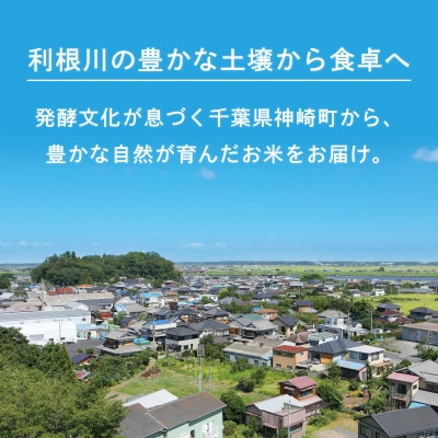 《 限定復活・令和7年産 》千葉県神崎町産 ふさこがね 10kg(5kg×2袋)