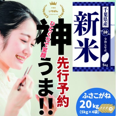《先行予約・令和7年産 新米》千葉県神崎町産 ふさこがね 20kg(5kg×4袋)|9月以降順次発送