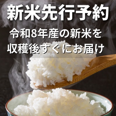 【新米先行予約・9月上旬発送】令和8年産 千葉県神崎町産 ふさこがね 白米 20kg(5kg×4袋)