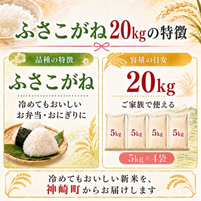【新米先行予約・9月上旬発送】令和8年産 千葉県神崎町産 ふさこがね 白米 20kg(5kg×4袋)