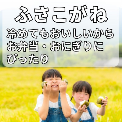 【新米先行予約・9月上旬発送】令和8年産 千葉県神崎町産 ふさこがね 白米 20kg(5kg×4袋)