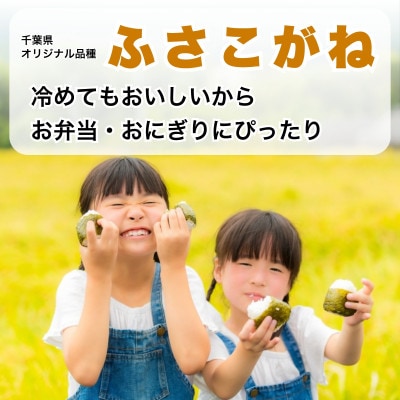 【新米先行予約】令和8年産 ふさこがね 20kg(5kg×4袋) 千葉県神崎町産 白米 9月上旬発送
