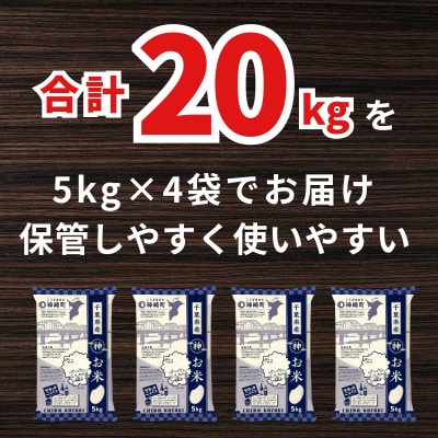 【新米先行予約・9月上旬発送】令和8年産 千葉県神崎町産 ふさこがね 白米 20kg(5kg×4袋)