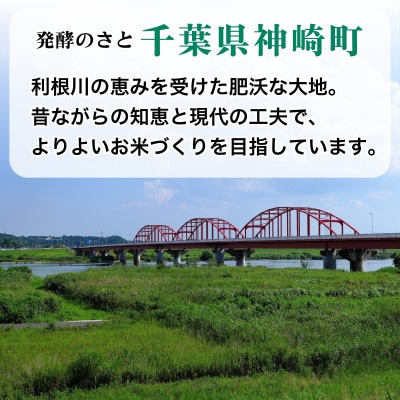 【新米先行予約】令和8年産 ふさこがね 20kg(5kg×4袋) 千葉県神崎町産 白米 9月上旬発送