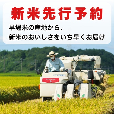 【新米先行予約】令和8年産 ふさおとめ 5kg(5kg×1袋) 千葉県神崎町産 白米 9月上旬発送