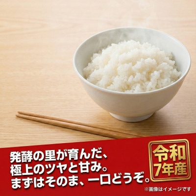 《 限定復活・令和7年産 新米 》千葉県神崎町産 ふさおとめ 10kg(5kg×2袋)