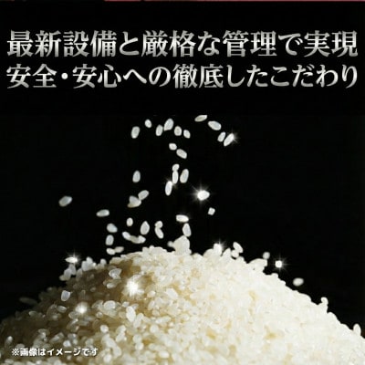 《 限定復活・令和7年産 新米 》千葉県神崎町産 ふさおとめ 10kg(5kg×2袋)