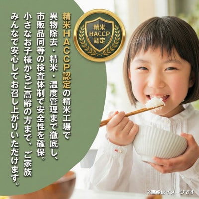 《 限定復活・令和7年産 新米 》千葉県神崎町産 ふさおとめ 10kg(5kg×2袋)