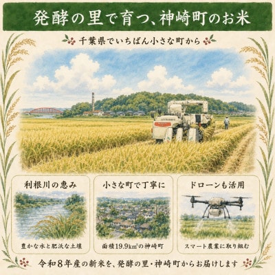 【新米先行予約】令和8年産 ふさおとめ 10kg(5kg×2袋) 千葉県神崎町産 白米 9月上旬発送